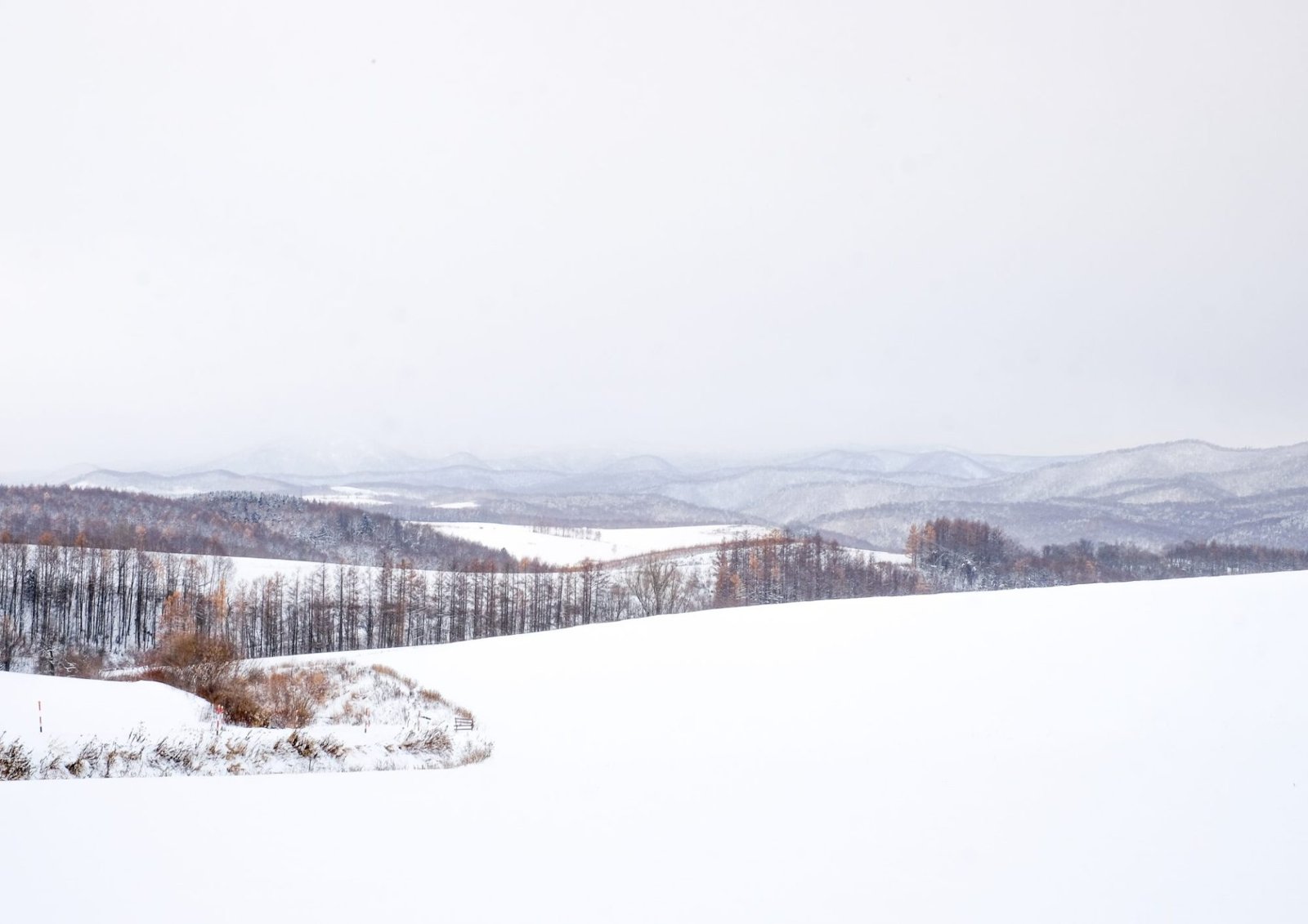 아시아 각국에서 인기 폭발! 드라마 “First Love 하츠코이” 촬영지 in HOKKAIDO