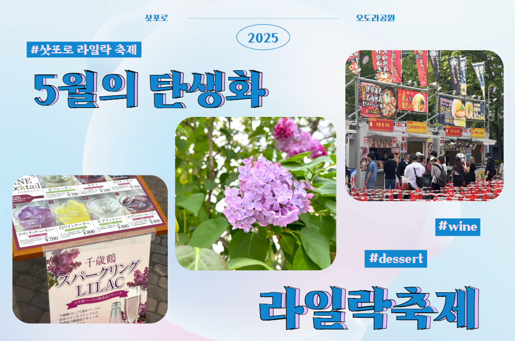 2025 삿포로 축제 시작💚 5월 실시간 축제 정보 공유합니다.