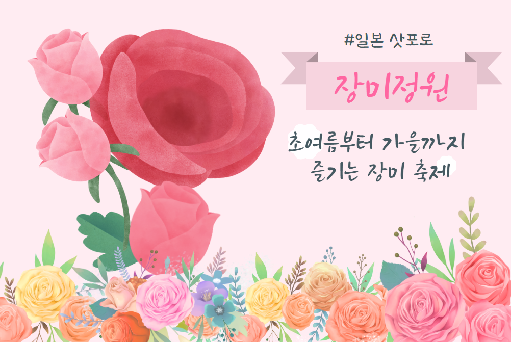 🌹삿포로 오도리공원 장미 정원 – 초여름부터 가을까지 즐기는 장미 축제