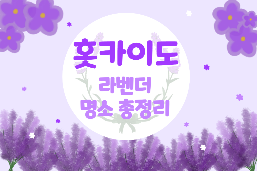 홋카이도 2025 라벤더 개화 시기 &amp; 포토 스팟 정리 ＆ 라벤더 명소 총 정리