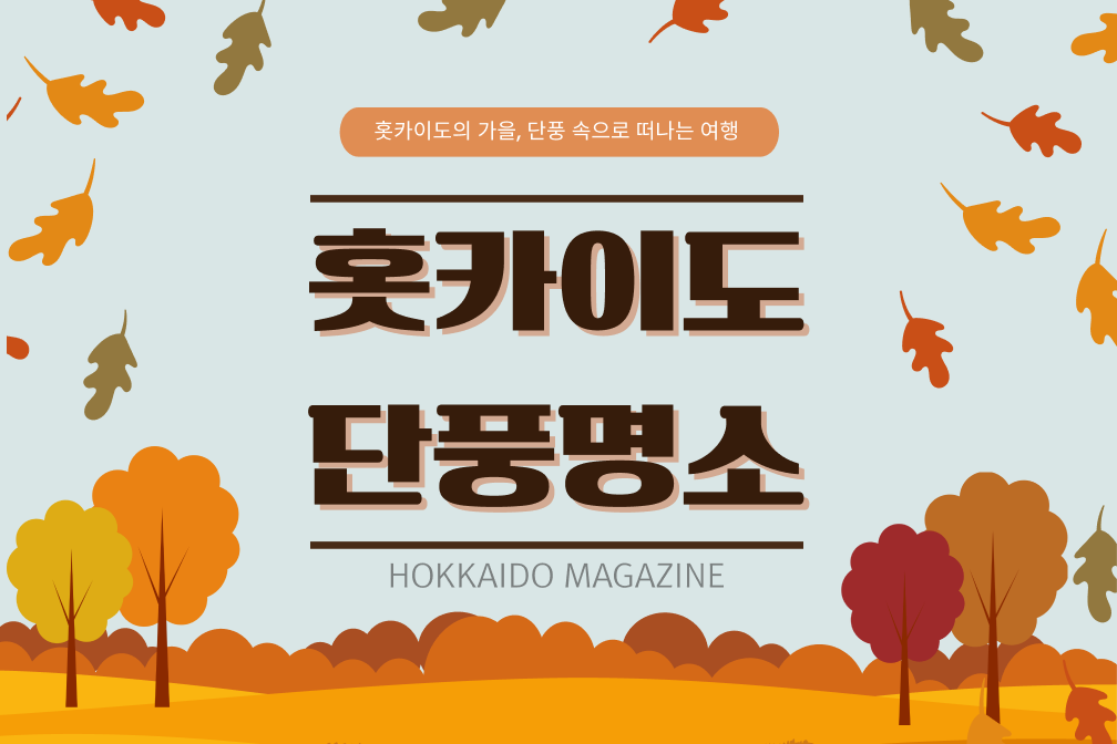 홋카이도의 가을 명소를 소개해드려요🤎 단풍 속으로 떠나는 여행🐿️