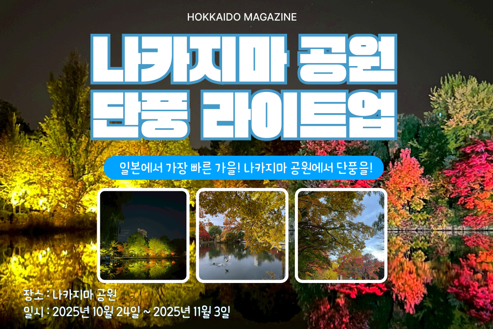 일본에서 가장 빨리 단풍을 즐길 수 있는 곳! 삿포로 나카지마공원 단풍 라이트업🍁