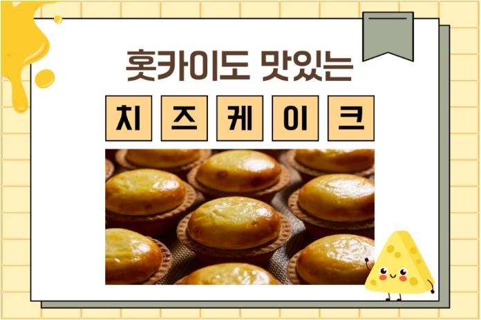 홋카이도 치즈케이크 추천 리스트💛! 신선한 치즈 풍미가 가득! 꼭 드셔보세요