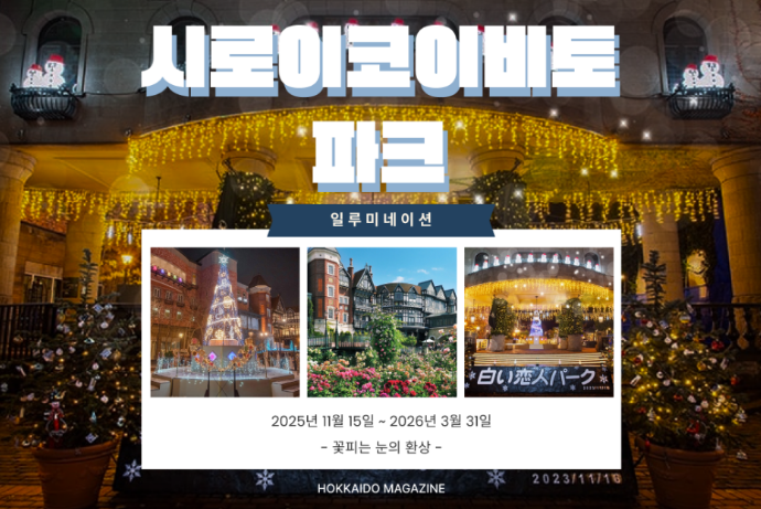 삿포로 겨울 여행 | 시로이코이비토 파크 일루미네이션 2025