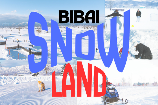(+할인코드) 삿포로에서 스노우랜드❄️ ‘비바이 스노우랜드’ (눈썰매, 눈 액티비티 체험)