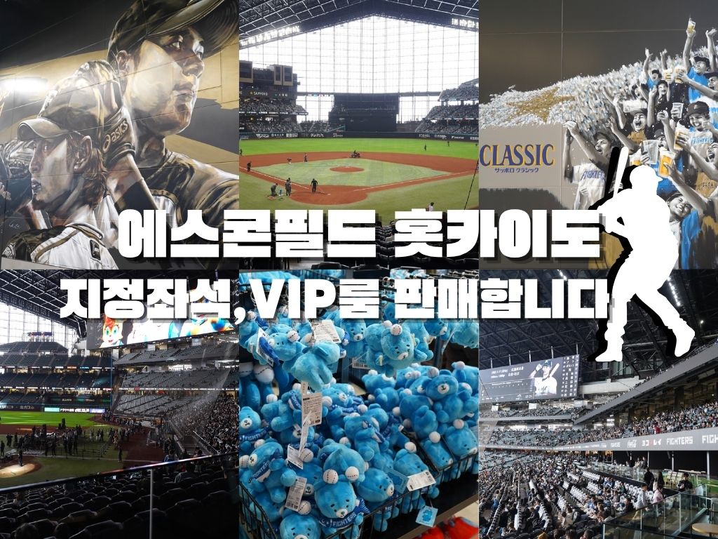 에스콘필드 홋카이도 야구장 좌석 판매합니다 (지정좌석,VIP룸 발코니좌석)
