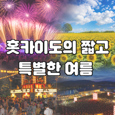 🌻홋카이도의 짧고 특별한 여름🌻현지인은 홋카이도 여름을 어떻게 지낼까요??